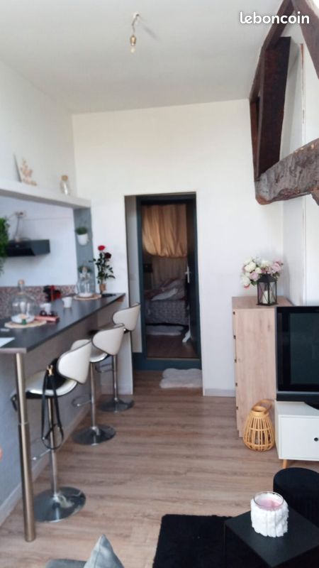 Appartement 3 pièces 50 m² · à Saint-Jean-de-Losne · 50 m² · 485 €/mois