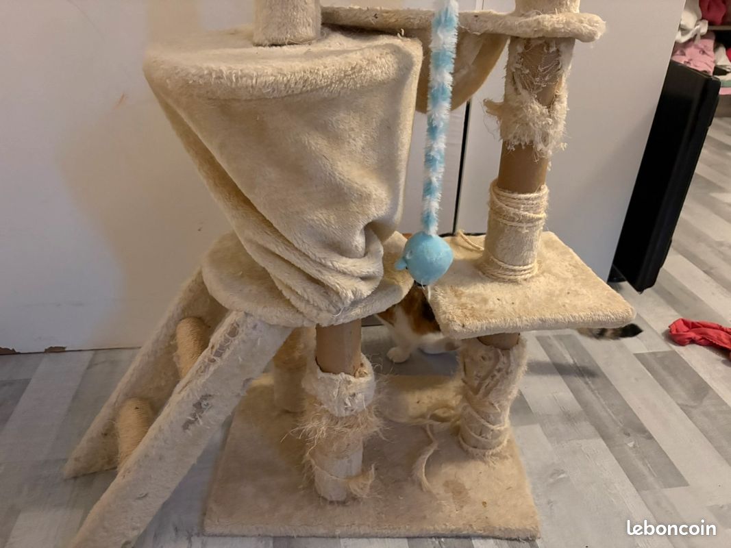 A donner arbre à chat (image 2)