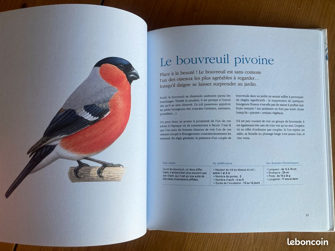 Les oiseaux de mon jardin. Les reconnaître, les accueillir (image 7)