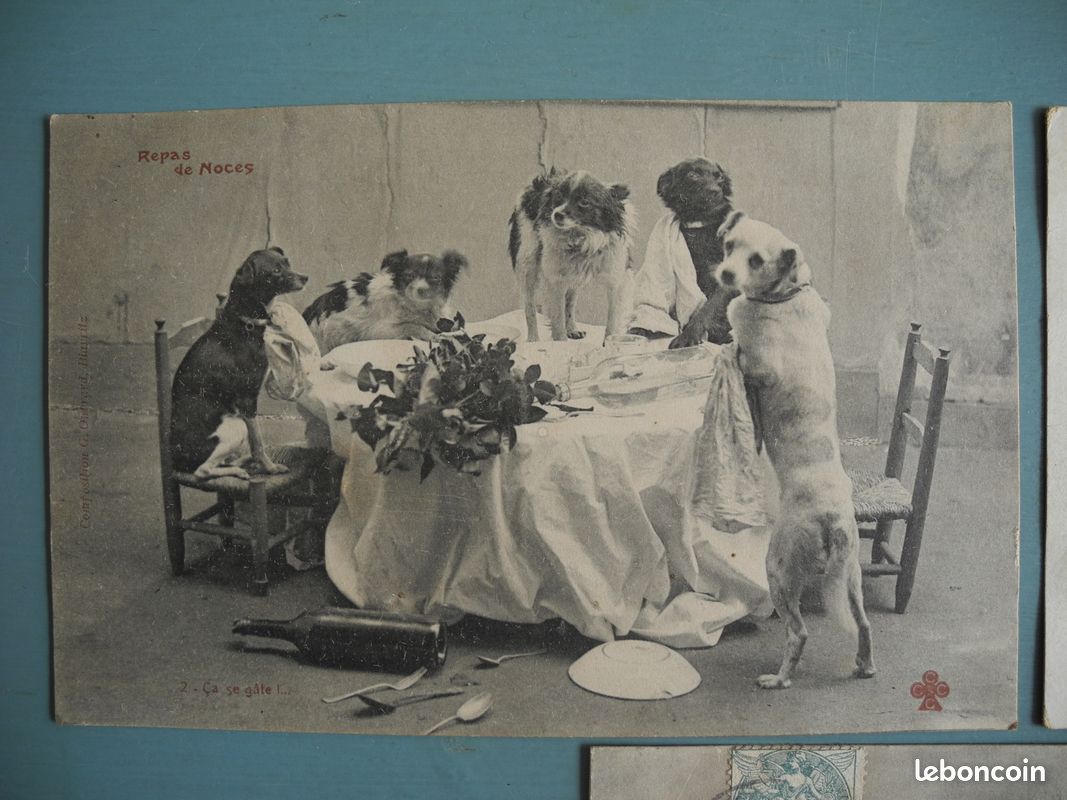 Cpa - Fantaisie - Enfant et chien - illustrateur Niobo