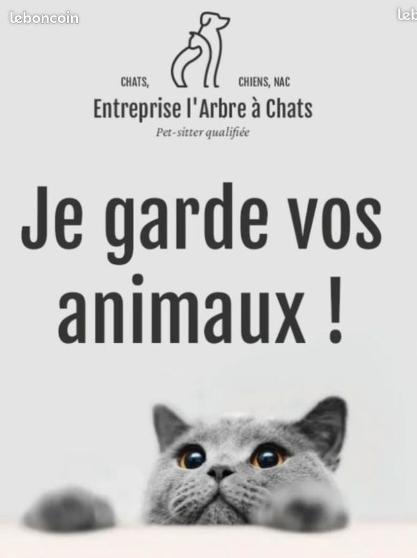 Assumtoutou | Garde d'animaux | Chats, Chiens, NAC Assumtoutou | Garde d'animaux | Chats, Chiens, NAC