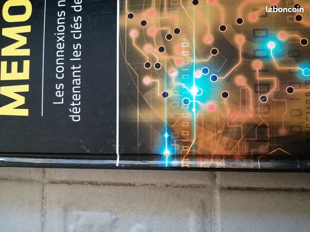 La mémoire les défis de la science (image 3)