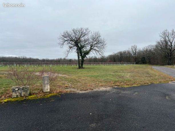 Terrain 1 004 m² Mosnac Saint Simeux