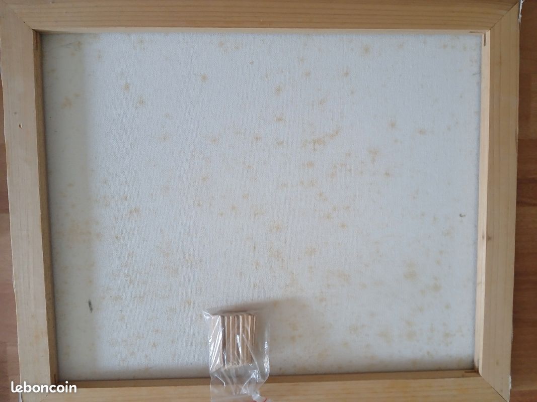 Toile peinture (image 3)