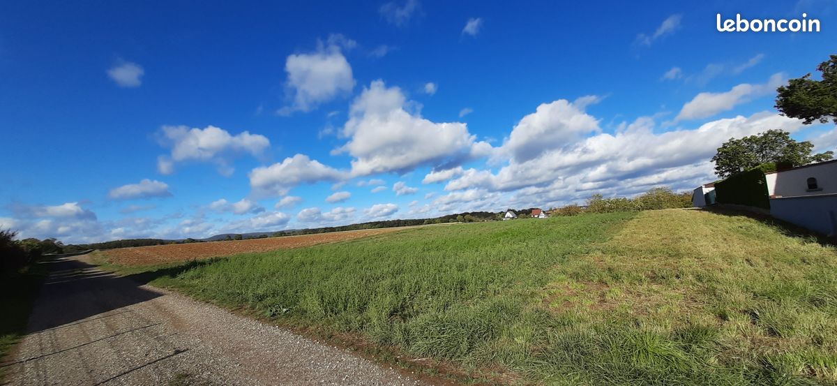 Terrain de 2679 m² Waldolwisheim · 180 000 €