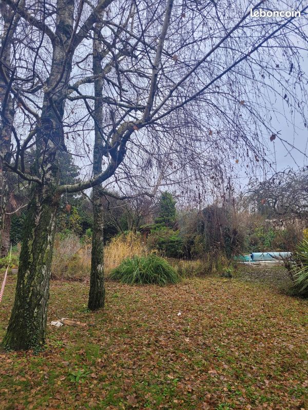 Terrain 704 m² MoursSaintEusèbe Ventes immobilières