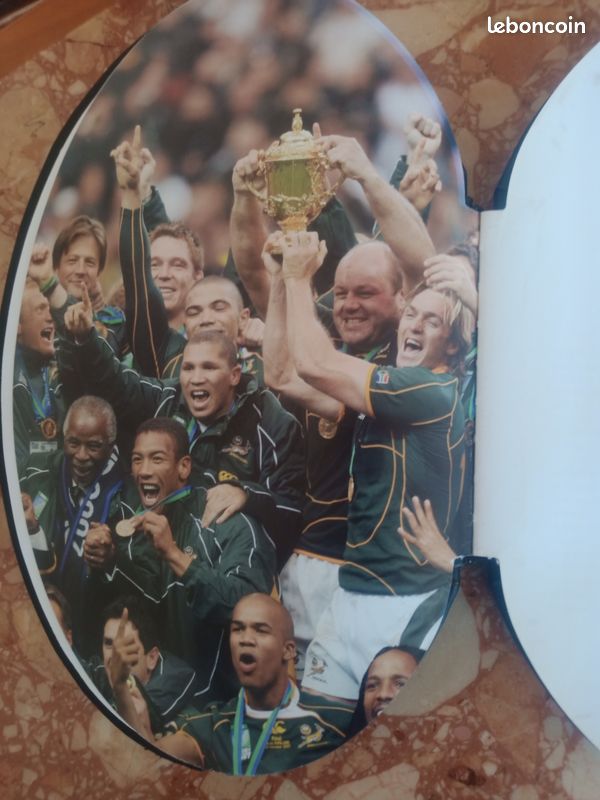 Pour collectionneur ouvrage capitonné traçant l'histoire des grands joueurs de rugby au monde illustré par des textes et des photos (image 4)