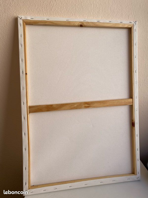 Toile de peinture vierge (image 2)