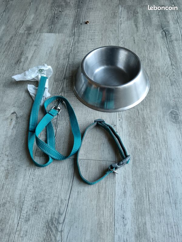 Gamelle inox pour chien, collier&laisse (image 1)