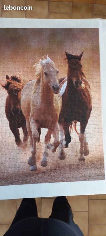 Lot de 3 puzzles (image 3)