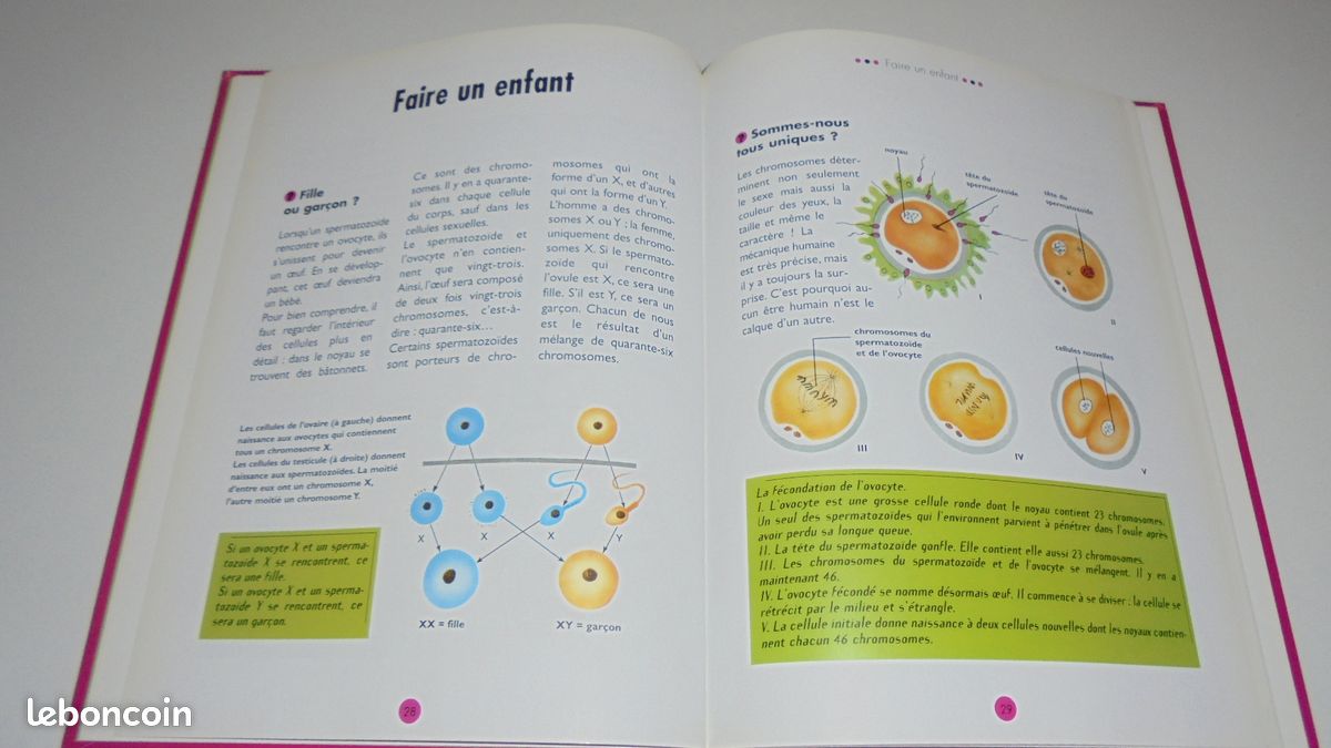 Livre encyclopédie de la vie sexuelle 10 / 13 ans (image 3)