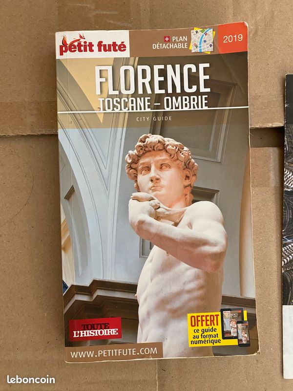 Guide de voyage : Florence - le Petit Futé (image 1)