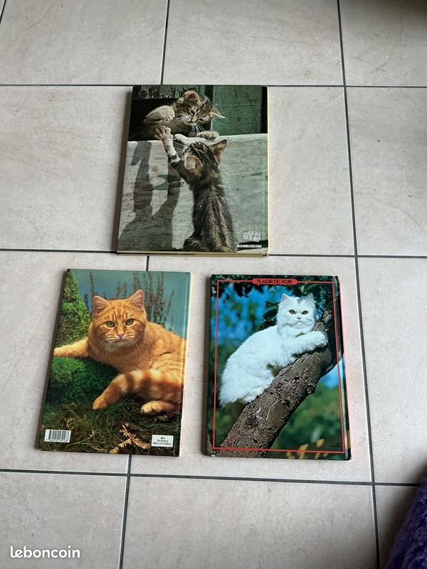 Lot 3 livres photos chats et chatons (image 7)