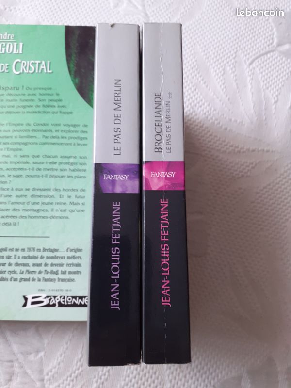 Guy Gavriel Kay - Le dernier rayon de Soleil (image 2)