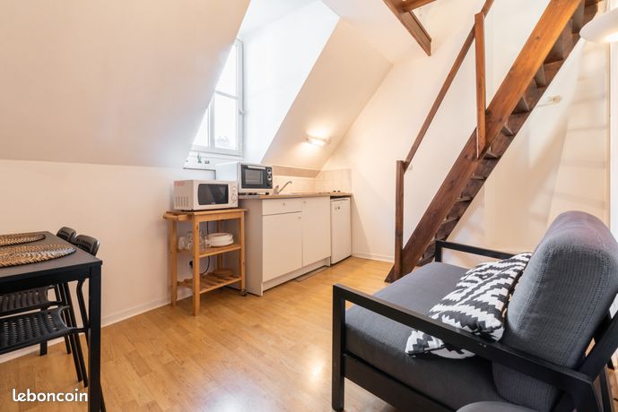 Appartement 1 pièce 17 m² — 3