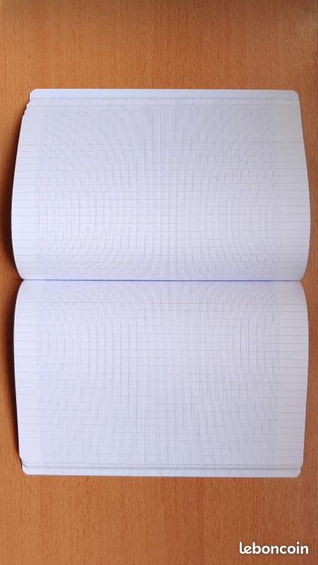 Grand cahier grand carreaux Clairefontaine de 192 pages - 21x29,7cm papier velouté 90g/m2 (image 2)