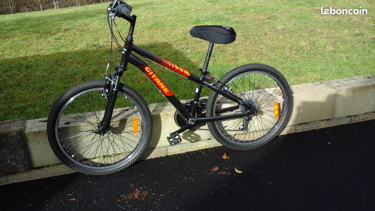 Vends vélo VTT (image 1)