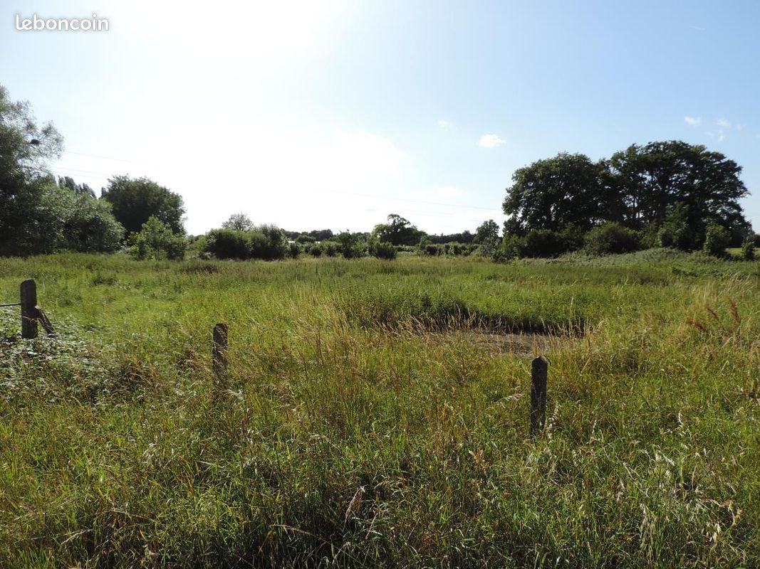 Terrain 8648 m² · à Évron · 8 648 m² · 91 149 €