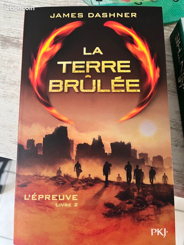 Le labyrinthe tome 2 - la terre brûlée (image 1)