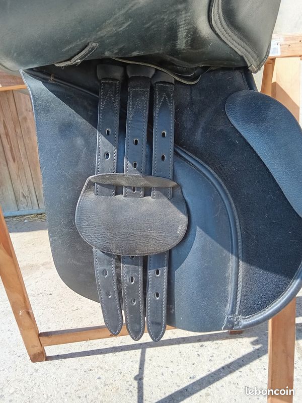 Selle mixte Bates Caprilli 17,5" (image 2)