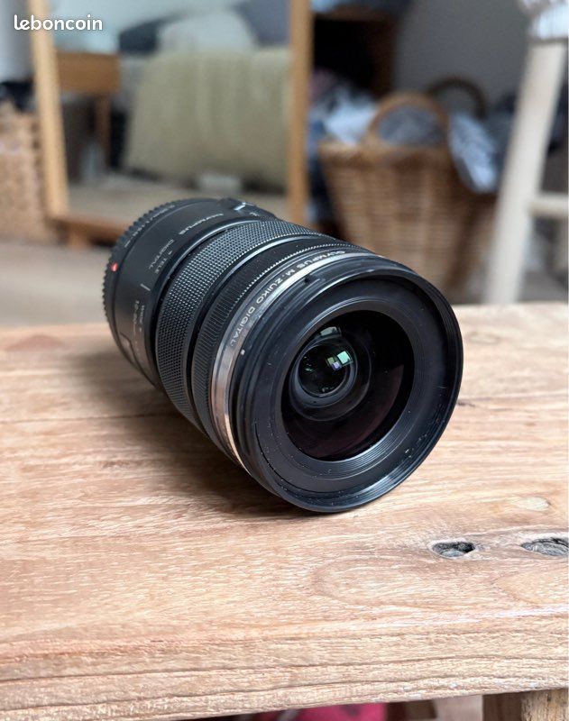 Olympus OM-D E-M5 + Objectif 12-50mm EZ + Flash (image 7)