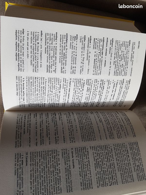 Dictionnaire Bordas des pièges et difficultés de la langue française (image 5)