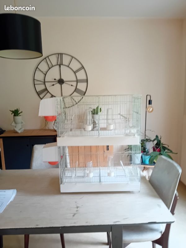 Cage oiseau (image 1)