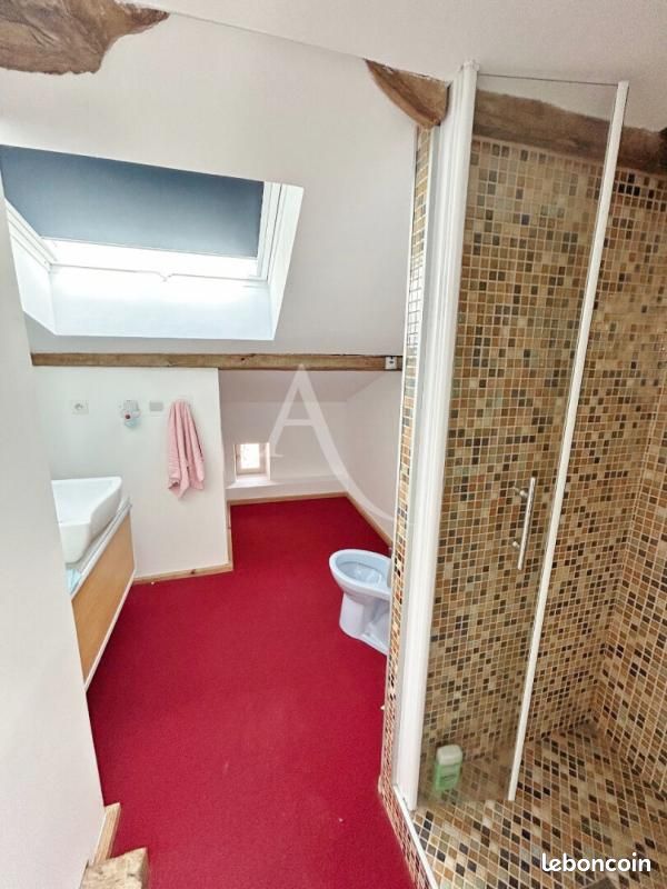 Ferme 9 pièces 363 m² (image 13)