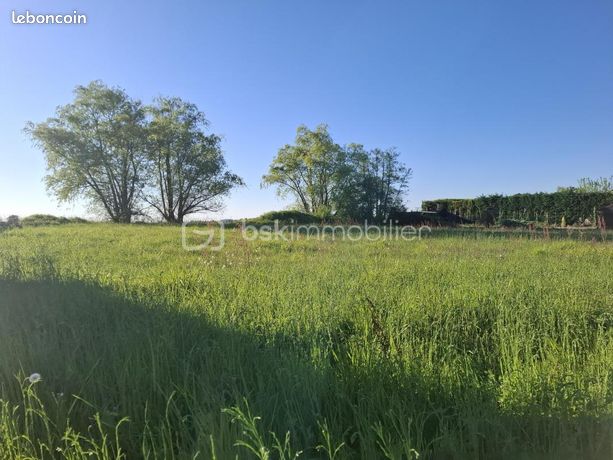Terrain 2 055 m² Flaujagues