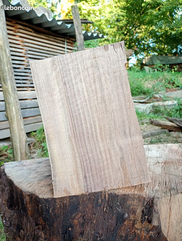 Bois pour sculpture ou tournage - Aulne, Noyer noir, bois échauffés et autres (image 8)