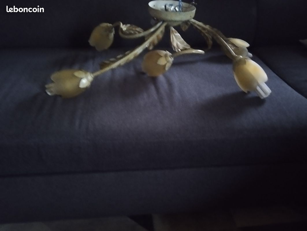 Plafonnier (image 1)