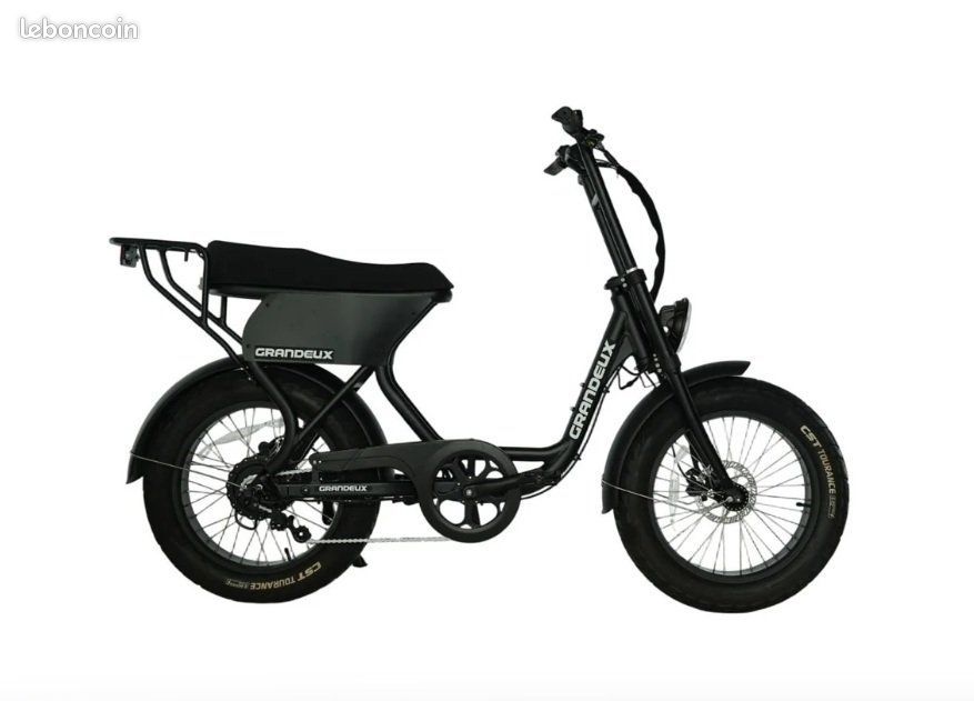 Vélo électrique biplace Grandeux Xcite Pro – Batterie 720 Wh – Fatbike / Engwe / YUVY / RITMIC / GAYA⁠⁮⁮⁯‍⁮⁪⁯⁪‌⁪⁬⁢⁫⁮ (image 2)