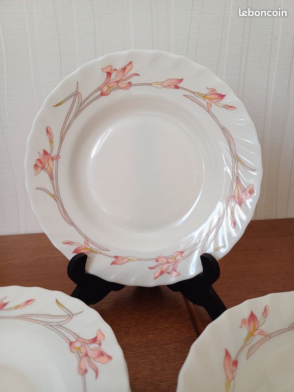 Lot De 12 Assiettes Creuses Arcopal Vintage - Motif Roses Et Feuilles D'Automne