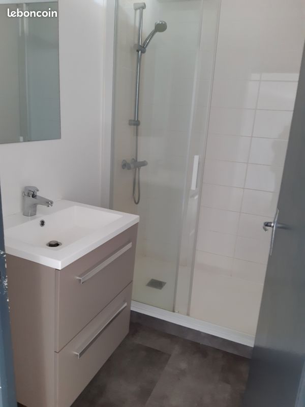 Appartement Duplex Aixe sur vienne - Aixe-sur-Vienne 87700 (image 2)