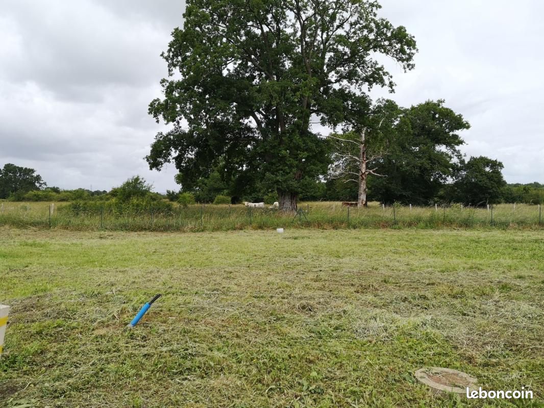 Terrain 606 m² Saint Ouen De Mimbre · à Saint-Ouen-de-Mimbré · 19 998 €