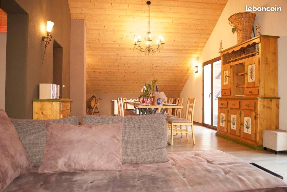 Eté - Hiver : Chalet-Appartement-Duplex pour 10/12 pers à Châtel (image 2)