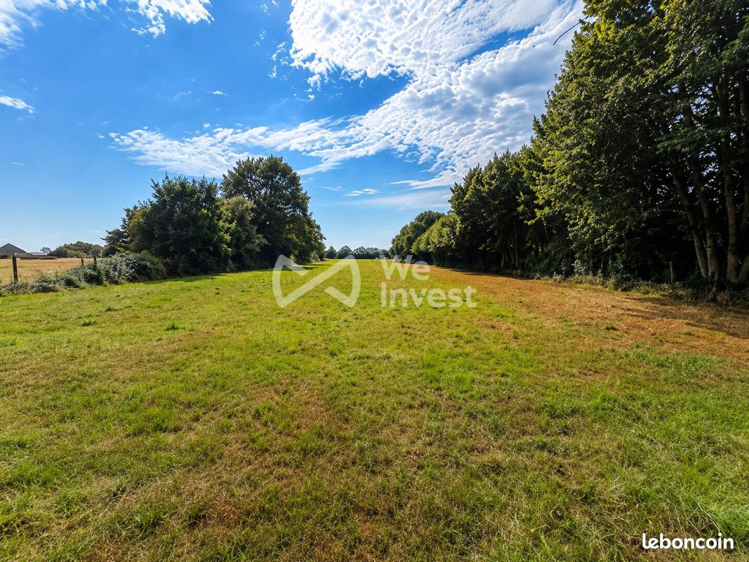 Terrain 11864 m² · à Regniowez · 11 864 m² · 130 000 €