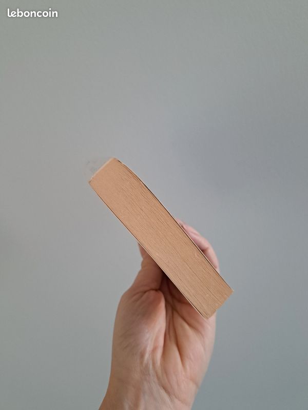Livre L'échange des princesses (image 5)