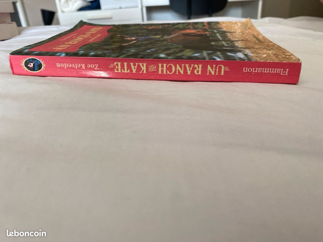 Livre pour adolescents - Un ranch pour Kate (image 3)