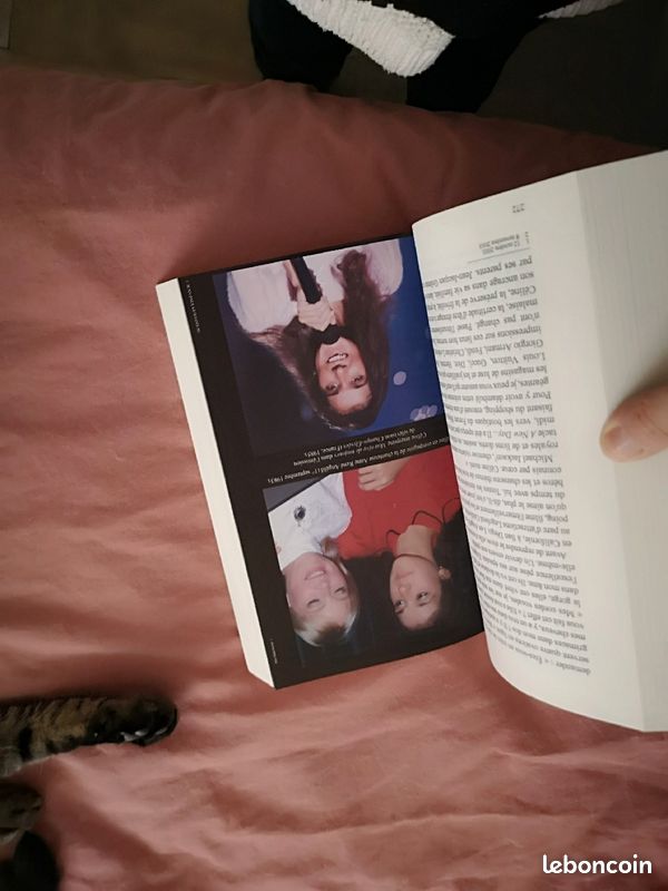 Livre sur Céline Dion (image 3)
