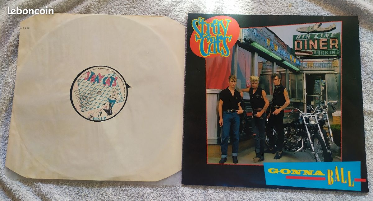 Stray cats et Traffic (image 1)