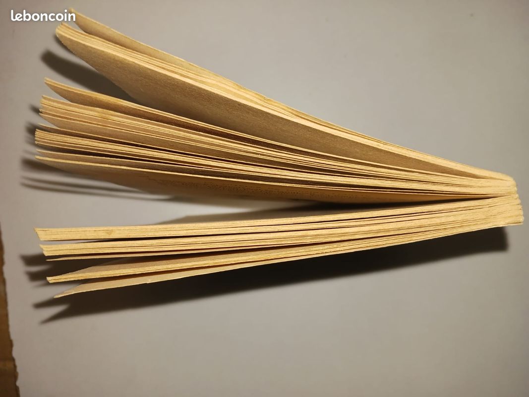 Suspendu : La tutelle de cousine Linotte (Berthe Bernage) (image 6)