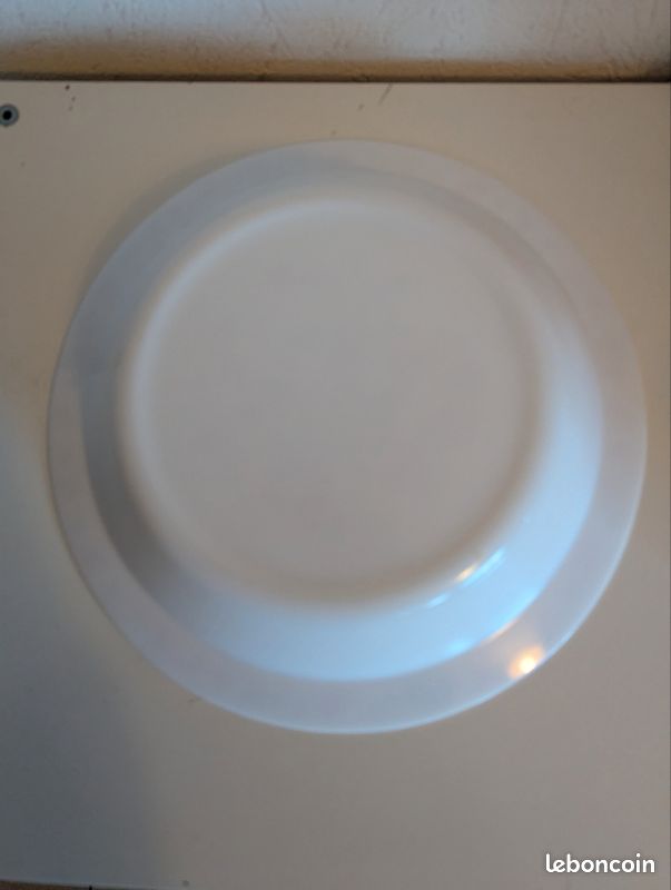 Plat creux ARCOPAL modèle Flore 29 cm