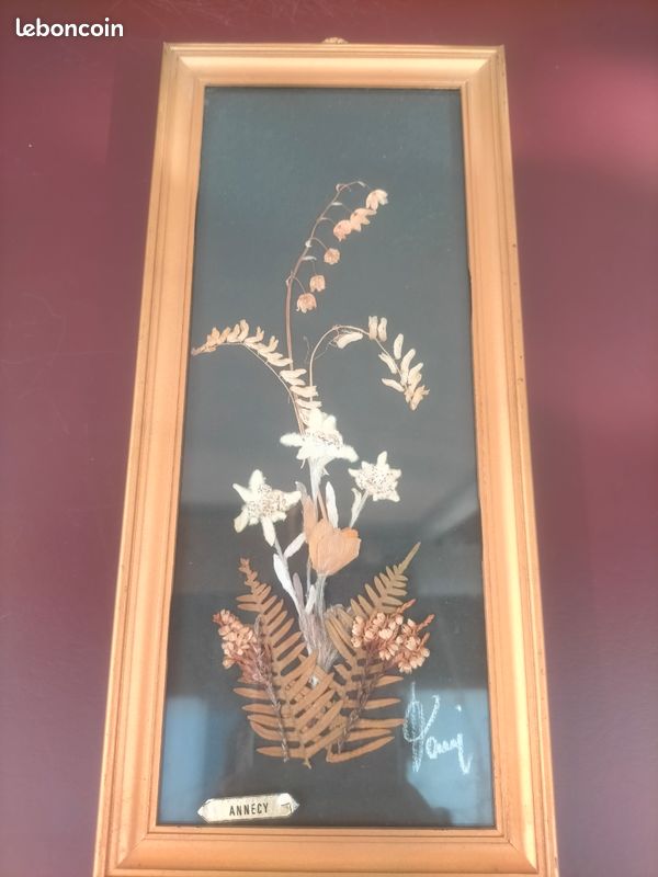 Cadre Herbier Vintage Montagne - Déco Nature Rustique 30x22cm