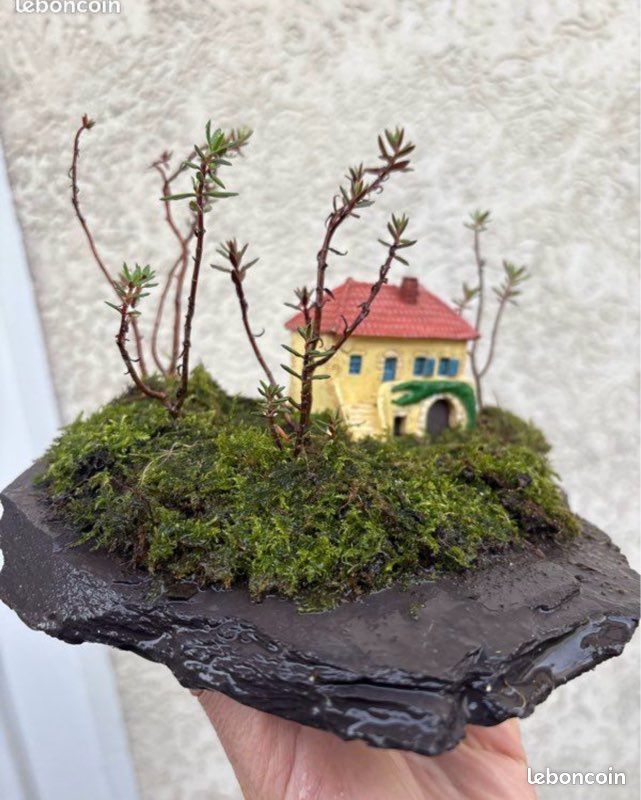 Paysage bonsai foret sur auge (image 4)
