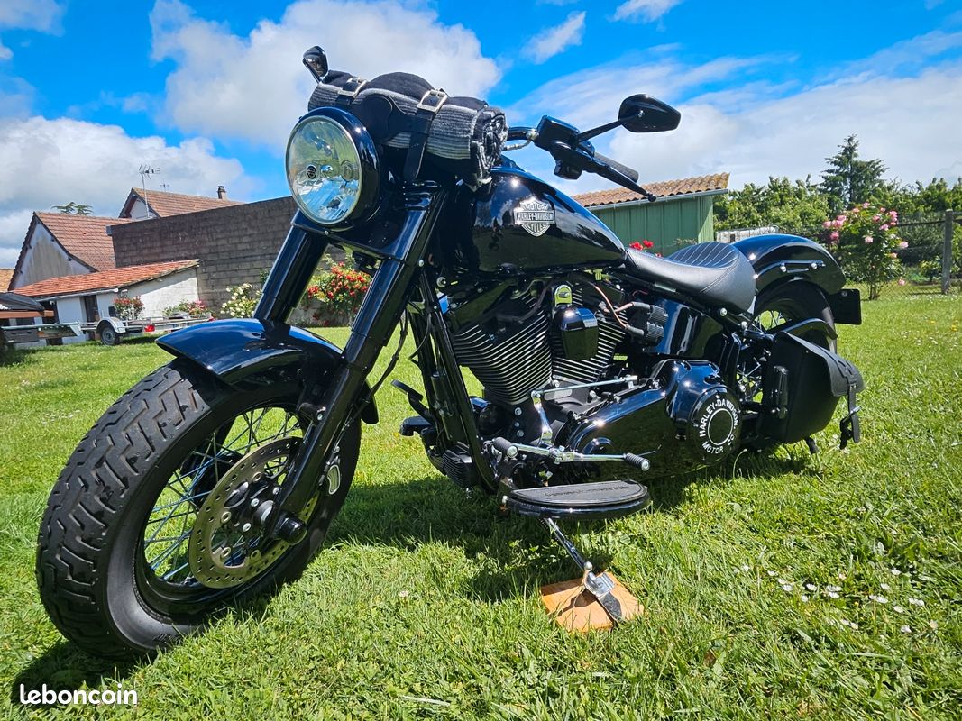 Softail slim s 110 (image 2)