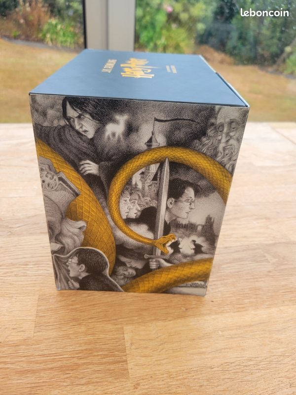 Saga Harry potter, édition spéciale Brian Selznic (image 9)