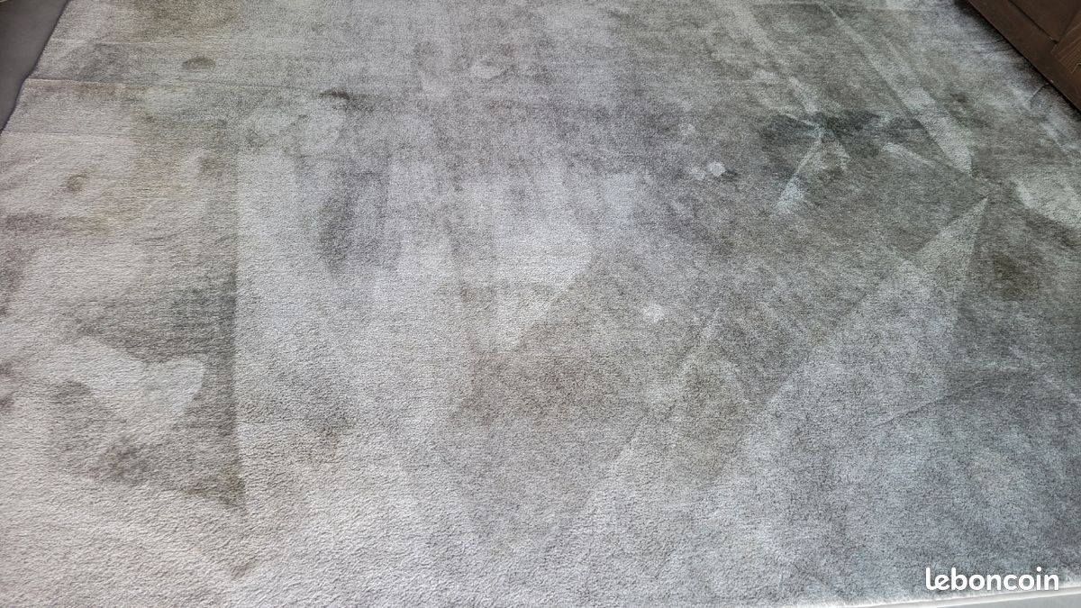 Grand tapis gris (image 3)