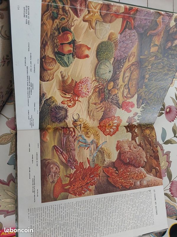 Ce monde ou nous vivons Hachette 1957 (image 1)