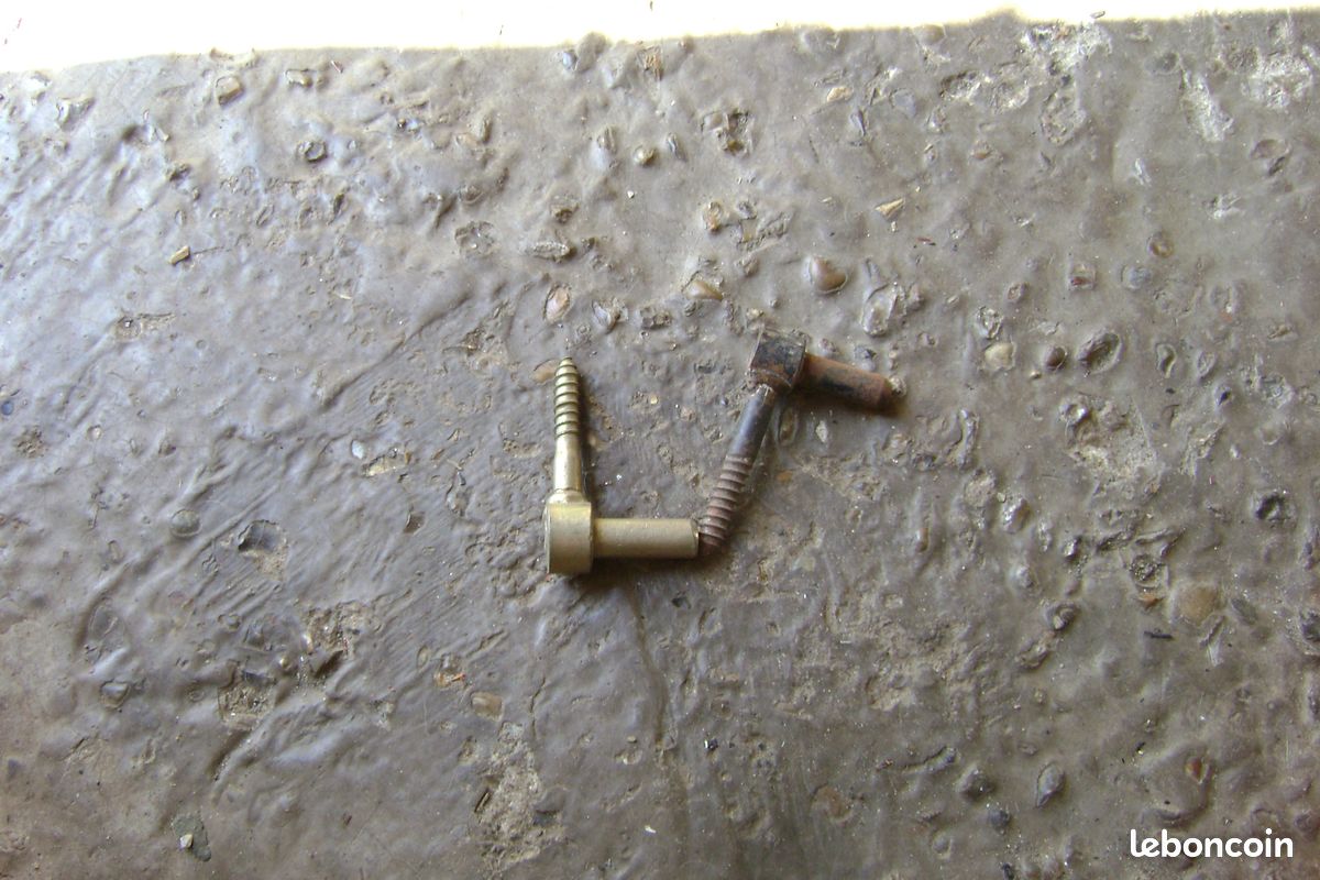 Gonds a vis a bois (image 1)